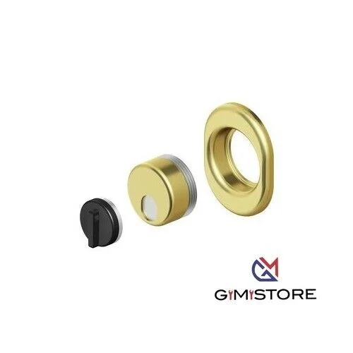 Defender-DiSec-monolito-magnetico-MRM29-per-protezione-serrature-in-oro-lucido-394461338584 Defender DiSec monolito magnetico MRM29 per protezione serrature in oro lucido - immagine 1