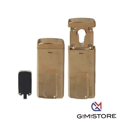 Defender Magnetico Mg310 Disec F.Sagom Mm 110x55 Ottone Lucido Disec